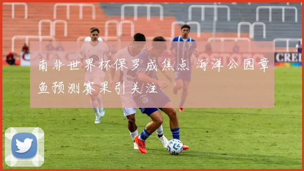 南非世界杯保罗成焦点 海洋公园章鱼预测赛果引关注